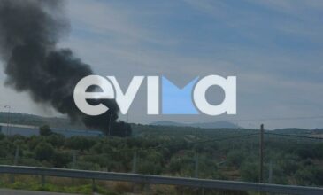 Φωτιά σε εργοστάσιο στην Εύβοια – Εκκενώνονται οι εγκαταστάσεις