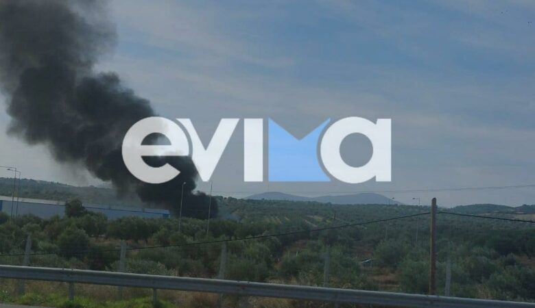 Φωτιά σε εργοστάσιο στην Εύβοια – Εκκενώνονται οι εγκαταστάσεις