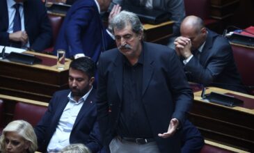 Παύλος Πολάκης: Την άρση της ασυλίας του αποφάσισε η Ολομέλεια της Βουλής