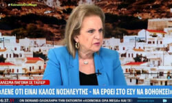 Ματίνα Παγώνη για Τάιλερ Μακμπέθ: Tον καλούμε να έρθει στο ΕΣΥ να βοηθήσει, δεν καταλαβαίνω γιατί έγινε θέμα