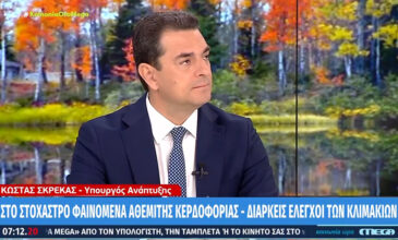 Σκρέκας: Πιέζουμε ώστε να μειωθούν όσο πιο πολύ γίνεται οι τιμές στα ράφια