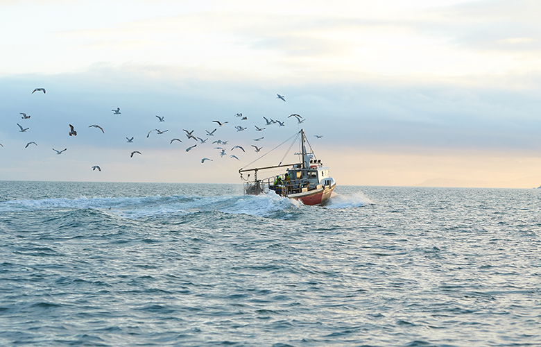 Διώξεις για απάτες σε βάρος του Δημοσίου με αλιευτικά καύσιμα στη βόρεια Ελλάδα