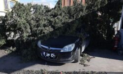 Θεσσαλονίκη: Οι θυελλώδεις άνεμοι έριξαν 40 δέντρα – Έσπασε το στέγαστρο βενζινάδικου