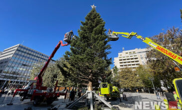 Σε γιορτινούς ρυθμούς η Αθήνα – Στήθηκε το χριστουγεννιάτικο δέντρο στο Σύνταγμα