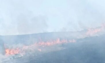 Μεγάλη φωτιά σε εξέλιξη στο Σελινό Χανίων