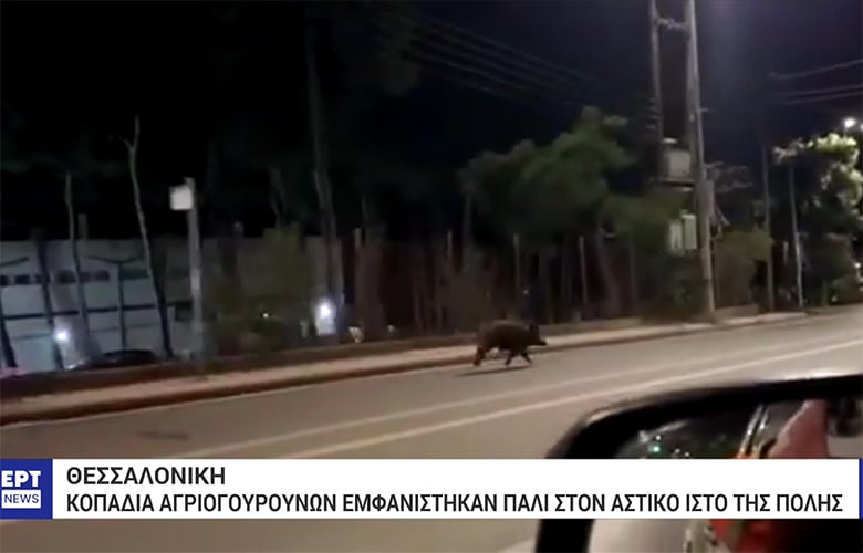 Εικόνα