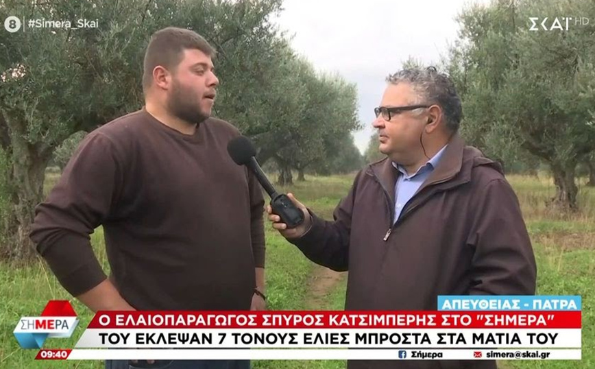 Αχαΐα: Έκλεψαν 7 τόνους ελιές από χωράφι – Ο 27χρονος ελαιοπαραγωγός έπιασε τους δράστες επ’αυτοφώρω