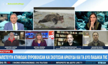 Νεκρές αρκούδες στην Καστοριά: «Ή τους μάζεψε για να μην φανούν ίχνη ή πυροβόλησε από το αυτοκίνητο» – Ο δράστης είναι αντιμέτωπος με πολλαπλά αδικήματα