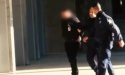 Καταγγελίες ότι τα σκυλιά που κατασπάραξαν την 50χρονη είχαν κινηθεί απειλητικά εναντίον και άλλων κατοίκων