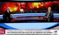 Γιάννης Οικονόμου: Δεν είναι δυνατόν να μην υπάρχει αστυνομική παρουσία στα γήπεδα