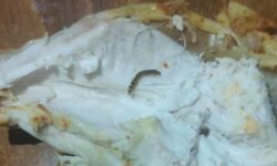 Σοκ για μητέρα με τα ψώνια από Σούπερ Μάρκετ στα Χανιά: Νόστιμο κοτόπουλο και τα σκουλήκια… δώρο