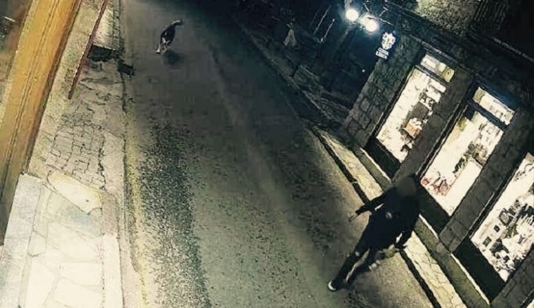 Αράχωβα: Νέα φωτογραφικά ντοκουμέντα από το βράδυ της επίθεσης στο χάσκι προσκόμισε ο ιδιοκτήτης του