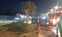 Σοβαρό τροχαίο στη Λεωφόρο Ποσειδώνος: Αυτοκίνητο εξετράπη της πορείας του και καρφώθηκε σε δέντρο