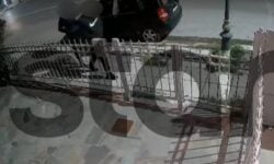 Βίντεο-ντοκουμέντο της δράσης διαρρηκτών στην Παλλήνη – Οι δράστες ξυλοκόπησαν ιδιοκτήτη διαμερίσματος που τους έπιασε στα… πράσα