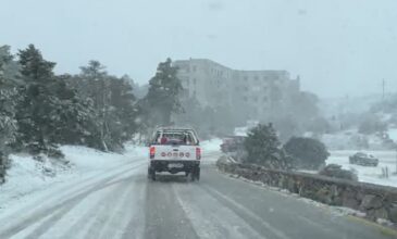 Διακοπή κυκλοφορίας στην Πάρνηθα λόγω χιονιά – Κλειστός ο δρόμος από το ύψος του τελεφερίκ