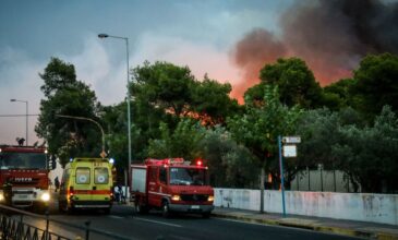 Δίκη για την πυρκαγιά Μάτι: «Το Μάτι πέθανε 100 μέτρα πριν η φωτιά περάσει την Μαραθώνος από τα υπέρθερμα αέρια»