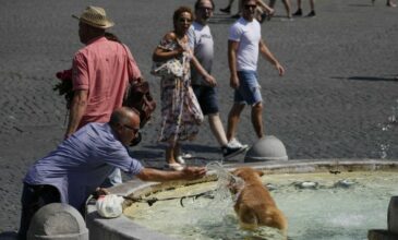 Με ανάλυση DNA θα εντοπίζονται στην Ιταλία οι ιδιοκτήτες των σκύλων που αφήνουν τα περιττώματα τους στον δρόμο