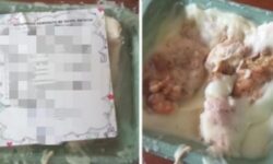 Νέες καταγγελίες για αλλοιωμένα σχολικά γεύματα που διανεμήθηκαν στη Χαλκίδα