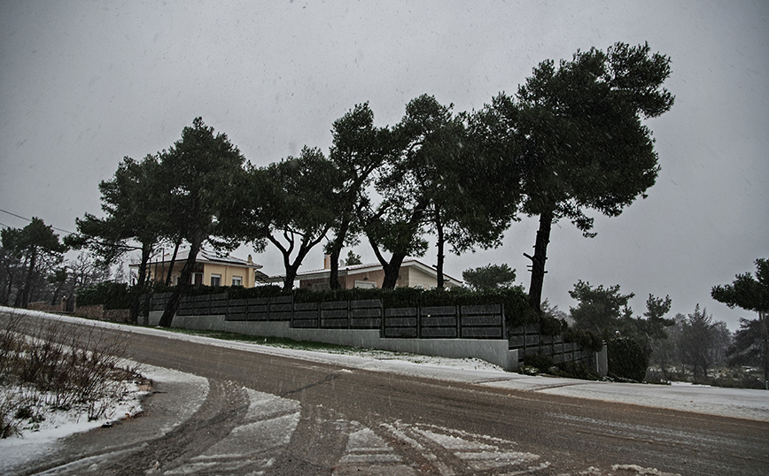 Κακοκαιρία Avgi: Τσουχτερό το κρύο – Ποιες περιοχές ντύθηκαν στα λευκά – Πώς θα λειτουργήσουν τα σχολεία