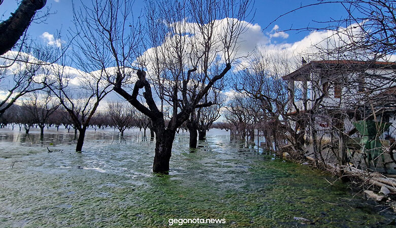 Εικόνες σοκ στη Θεσσαλία: Σπίτια και καλλιέργειες παραμένουν κάτω από τα νερά 4 μήνες μετά την κακοκαιρία