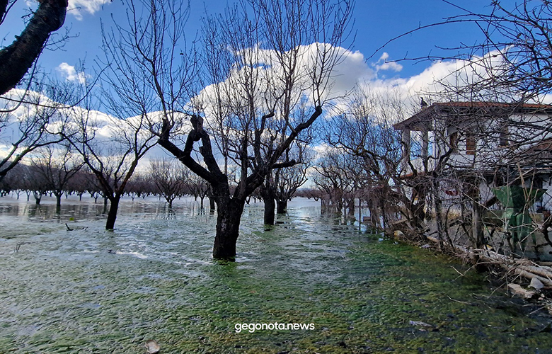 Εικόνες σοκ στη Θεσσαλία: Σπίτια και καλλιέργειες παραμένουν κάτω από τα νερά 4 μήνες μετά την κακοκαιρία