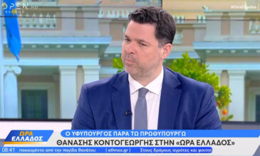 Κοντογεώργης: Αυστηρές οι προϋποθέσεις εισαγωγής στα μη κρατικά πανεπιστήμια