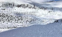 Τραγωδία στο Μπόροβετς: Νεκρός ο Έλληνας σκιέρ που καταπλακώθηκε από χιονοστιβάδα στη Βουλγαρία
