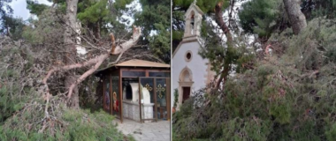 Εικόνες καταστροφής από πτώσεις δέντρων στους τάφους των Βενιζέλων στα Χανιά
