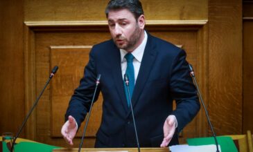 Ανδρουλάκης: Το νομοσχέδιο για τα μη κρατικά πανεπιστήμια είναι μια απομίμηση μεταρρύθμισης