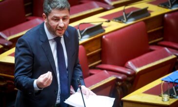 Ανδρουλάκης: «Ψεκασμένες θεωρίες ότι το ΠΑΣΟΚ εξυπηρετεί οικονομικά συμφέροντα με τη πρόταση δυσπιστίας»