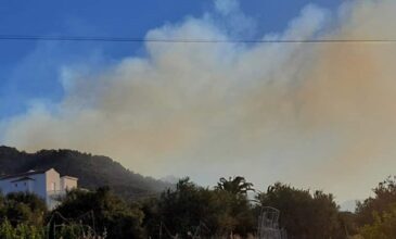 Μεγάλη φωτιά στο Λασίθι: Στα σπίτια έφθασαν οι φλόγες – Εκκενώνονται οικισμοί