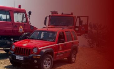 Μήνυμα του 112 για δασική φωτιά στη Βάρης-Κορωπίου – «Παραμείνετε σε ετοιμότητα»