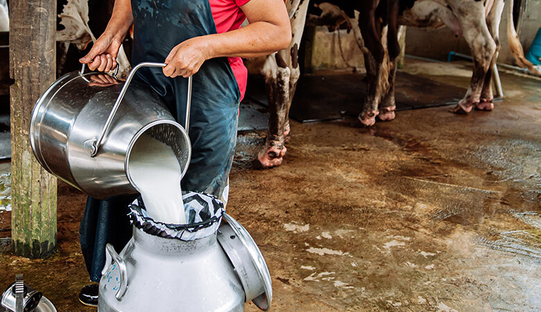 Συναγερμό σήμανε ο ΠΟΥ για μολυσμένο αγελαδινό γάλα από τον ιό της γρίπτης των πτηνών