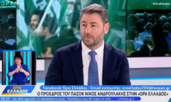 Ανδρουλάκης: Το ΠΑΣΟΚ θα αγωνιστεί ώστε να υπάρχει αντίπαλος που θα μπορεί να κερδίσει τη ΝΔ στις επόμενες εκλογές