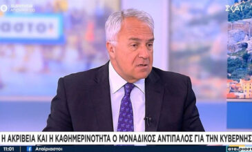 Βορίδης για Βόρεια Μακεδονία: «Είχαμε προβλέψει τις εξελίξεις – Είναι μια κακή συμφωνία και δεν θα τη φέρουμε προς κύρωση»