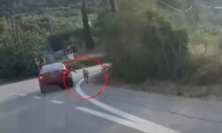 Συνοδηγός αυτοκινήτου κρατούσε από το λουρί σκύλο αναγκάζοντας τον να τρέχει παράλληλα με το όχημα