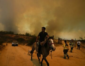 Σοκ στην Χιλή: Συνελήφθη πυροσβέστης που έβαλε φωτιές και σκοτώθηκαν137 άνθρωποι