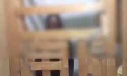 Σοκάρει το νέο «Κωσταλέξι» με 29χρονη στην Καλαμάτα – Ζει σε κλουβί εδώ και 7 χρόνια