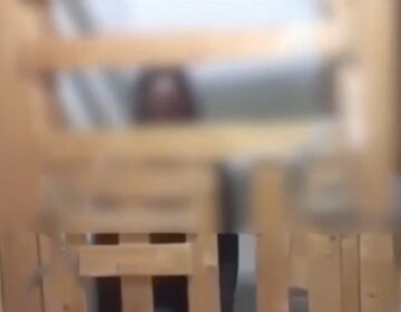 Σοκάρει το νέο «Κωσταλέξι» με 29χρονη στην Καλαμάτα – Ζει σε κλουβί εδώ και 7 χρόνια