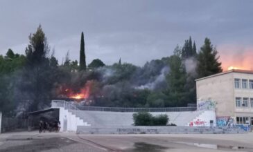 Yπό μερικό έλεγχο η φωτιά στη Λιβαδειά