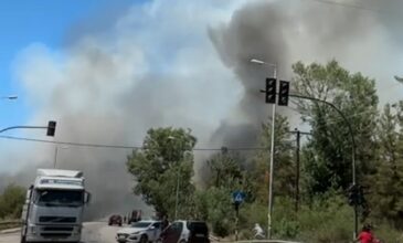Mεγάλη φωτιά στην περιφερειακή Τρικάλων στη Λάρισα – Ήχησε το 112 για τους κατοίκους του Αγίου Θωμά