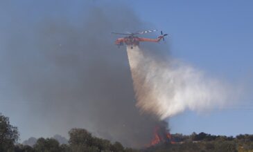 Φωτιά στην περιοχή Φανερωμένη στον Ασπρόπυργο – Επιχειρούν με 38 πυροσβέστες με 10 οχήματα, δύο ομάδες πεζοπόρο και ένα ελικόπτερο