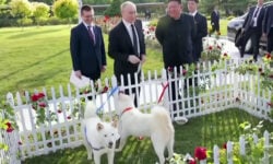 Το ξεχωριστό δώρο του Κιμ Γιονγκ Ουν στον Πούτιν – Του χάρισε ένα ζευγάρι σκύλους