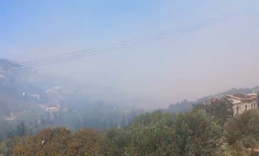 Μεγάλη φωτιά στην Άνδρο: Οι κάτοικοι αναφέρουν ότι κάηκε σπίτι στο νησί – Σοκαριστικές εικόνες από βίντεο