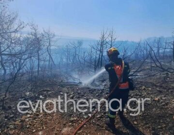 Τέθηκε υπό έλεγχο η φωτιά στη Νέα Αρτάκη