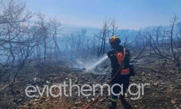 Τέθηκε υπό έλεγχο η φωτιά στη Νέα Αρτάκη