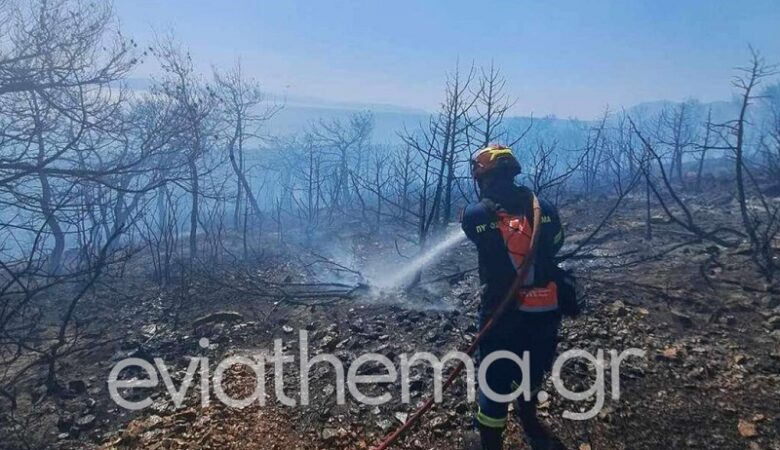 Τέθηκε υπό έλεγχο η φωτιά στη Νέα Αρτάκη