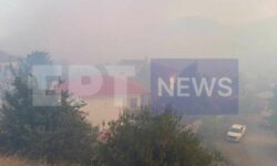 Σε ύφεση η φωτιά σε δασική έκταση στο Ορθοβούνι Καλαμπάκας