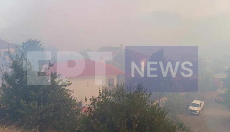 Σε ύφεση η φωτιά σε δασική έκταση στο Ορθοβούνι Καλαμπάκας