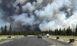 Μεγάλη φωτιά στο Όρεγκον των ΗΠΑ – Στάχτη έχουν γίνει ήδη 8.000 στρέμματα